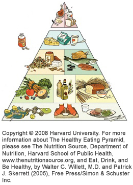 Turneul Alimentatiei Sanatoase continua!
