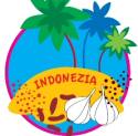 Indonezia si condimentele
