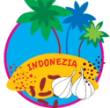 Indonezia si condimentele