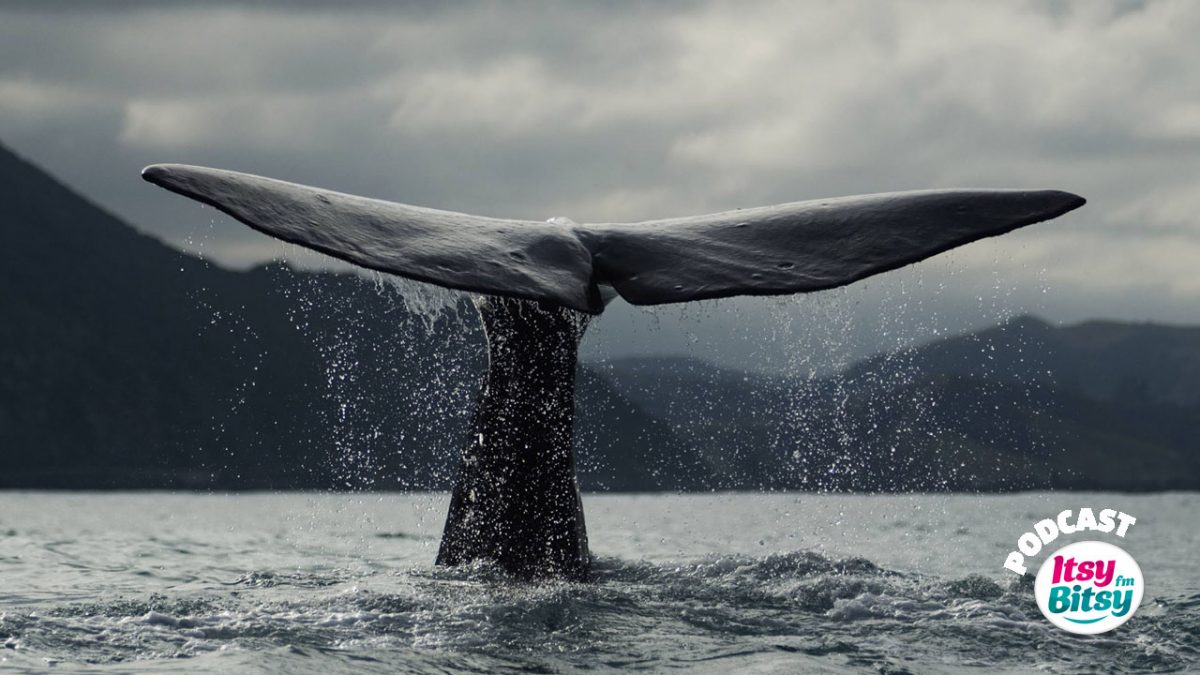 Balena Albastra: Jocul macabru care ingrozeste parintii