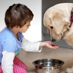 Copiii si animalele de companie: Reguli de sanatate