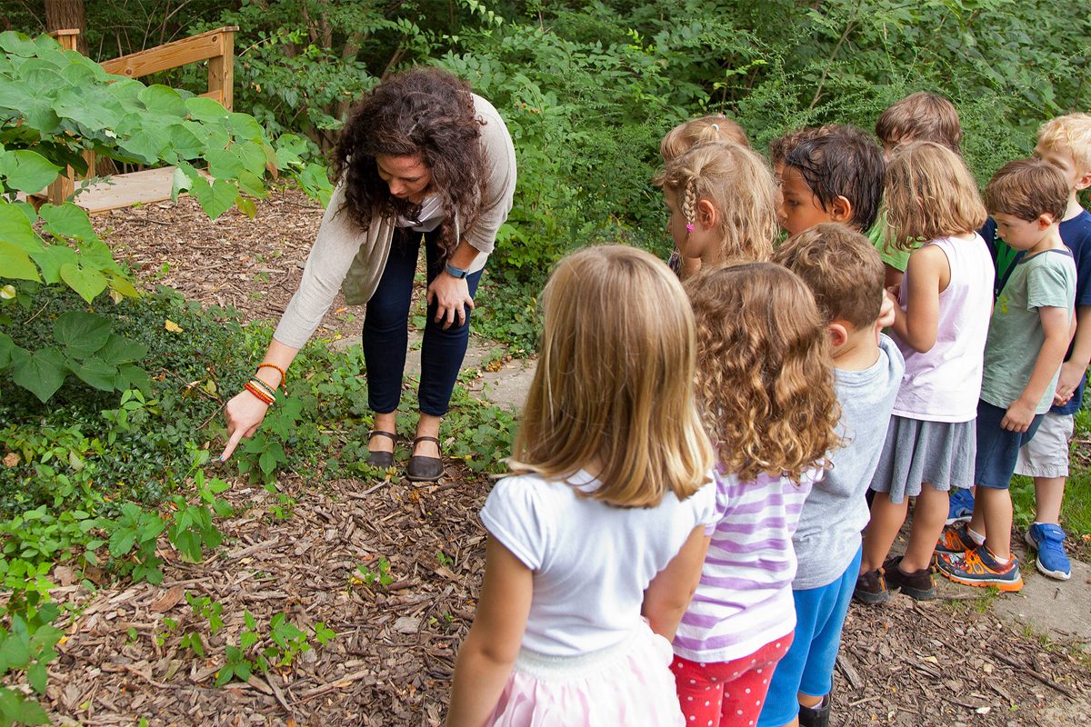 Educatia in natura – beneficii pentru copii