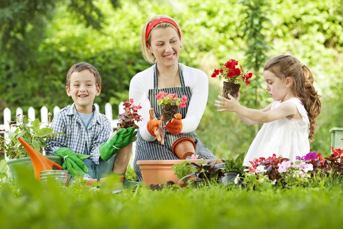 Idei de activitati de educatie ecologica pentru copii