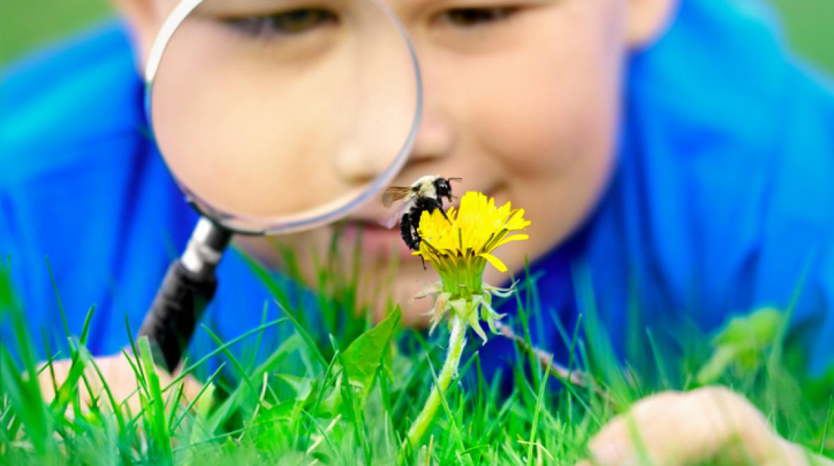 Solutii pentru diverse intepaturi de insecte