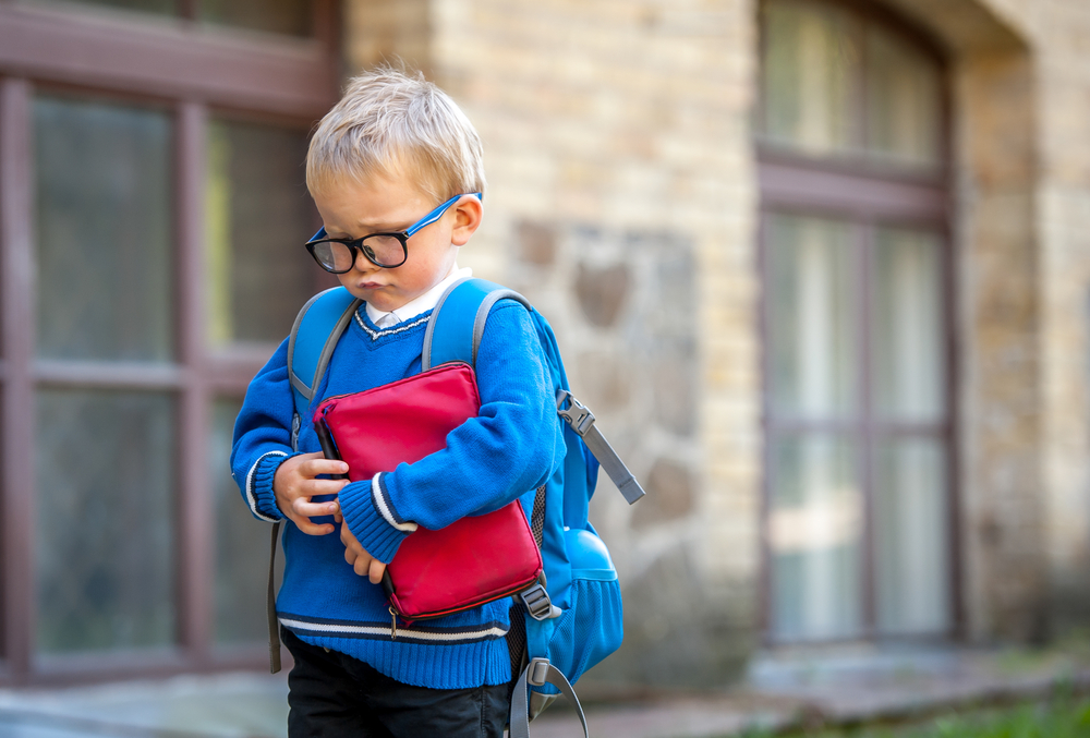 Legea de prevenire a bullyingului adoptata a doua oara in Parlament