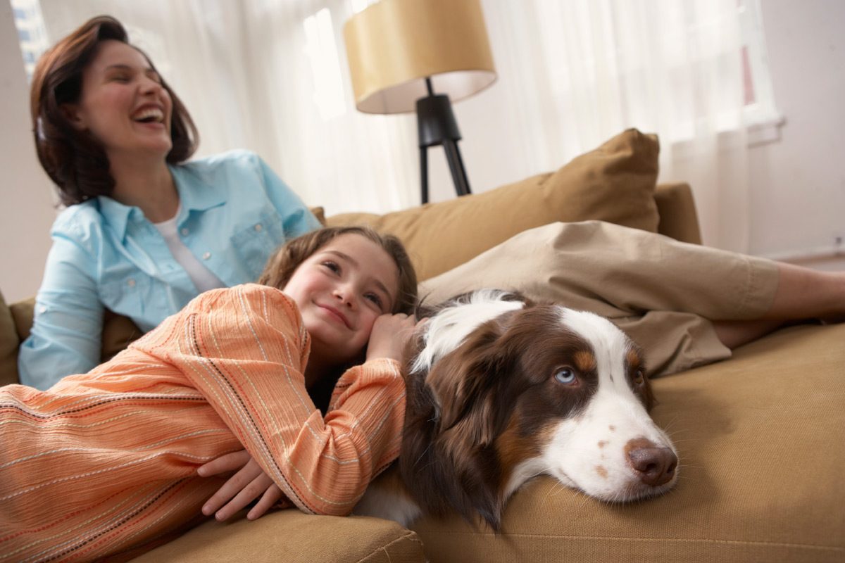 Recomandari pentru familiile care vor un animal de companie